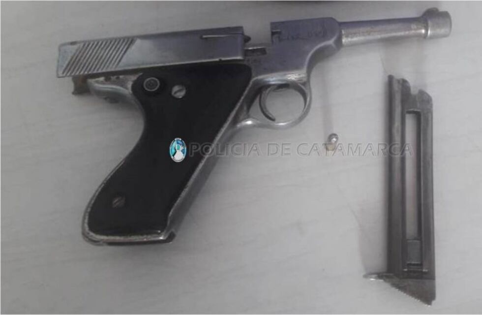 En un allanamiento secuestraron una planta de marihuana y un arma