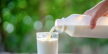 El día de la leche: la receta perfecta para celebrarlo