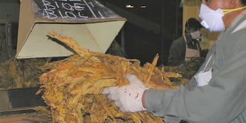 Tabaco de Jujuy