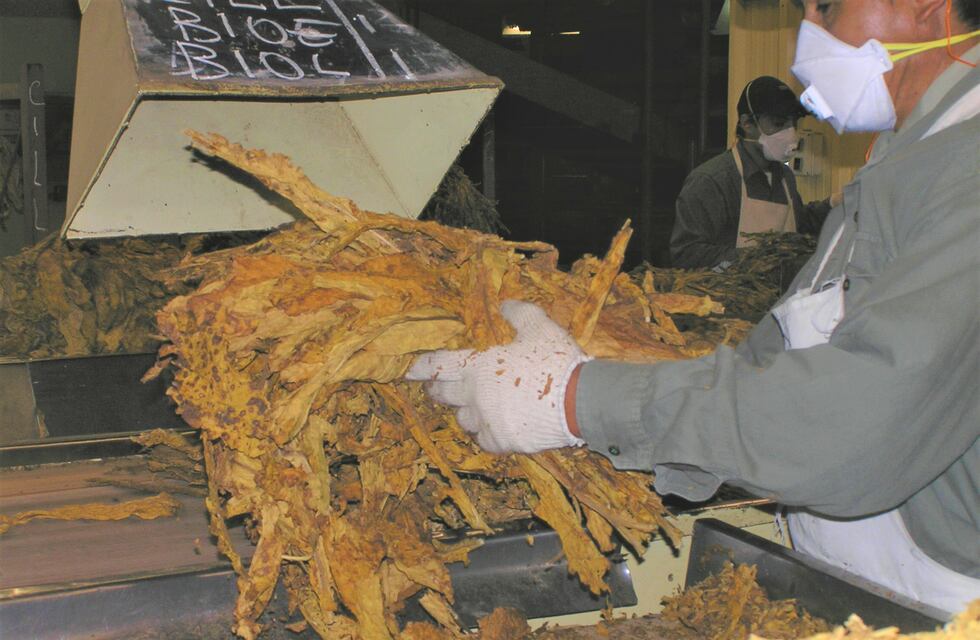 A los tabacaleros jujeños se les acaba a paciencia en la puja por el precio