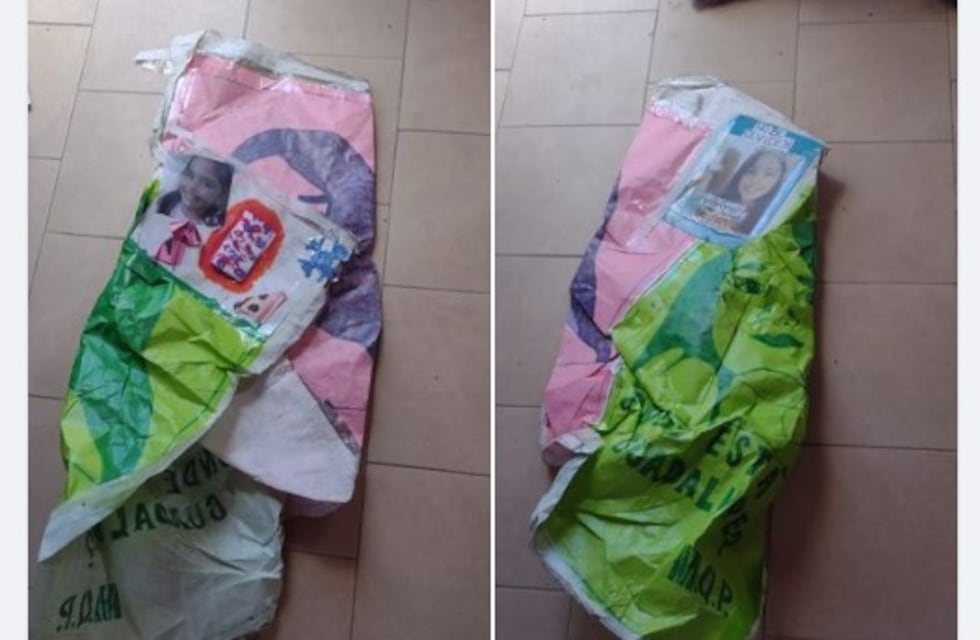 Arrancaron los afiches del mural que hicieron por Guadalupe Lucero