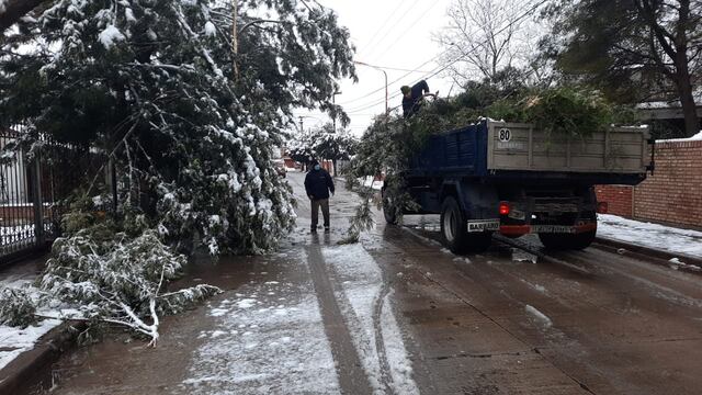 Tareas de poda y recolección de ramas y árboles, desde el pasado miércoles tras la intensa nevada en Carlos Paz.