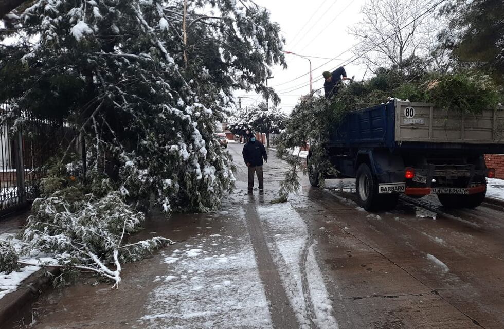 Tras la intensa nevada, se recolectaron ramas, árboles, y continúan las tareas de poda en Carlos Paz