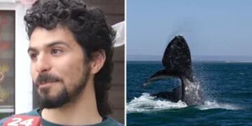 El relato del momento en que fue tragado por una ballena jorobada.