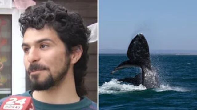 El relato del momento en que fue tragado por una ballena jorobada.