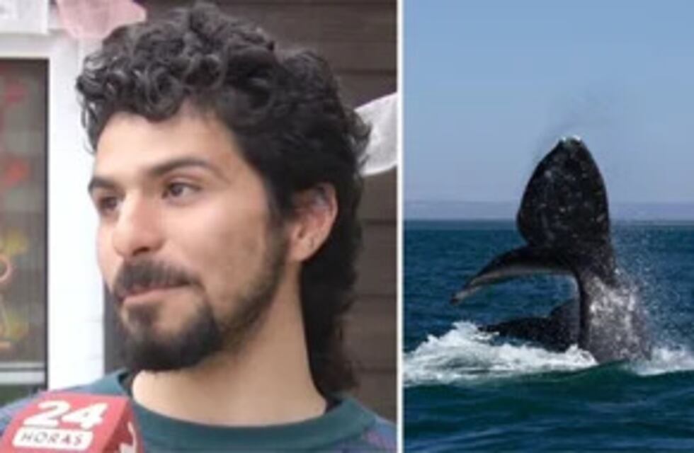 El impactante relato del joven que fue tragado por una ballena jorobada y se hizo viral