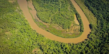 Un grupo de ambientalistas logró obtener imágenes del área dañada a través de un dron.