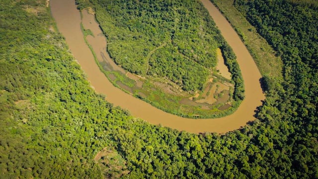 Un grupo de ambientalistas logró obtener imágenes del área dañada a través de un dron.