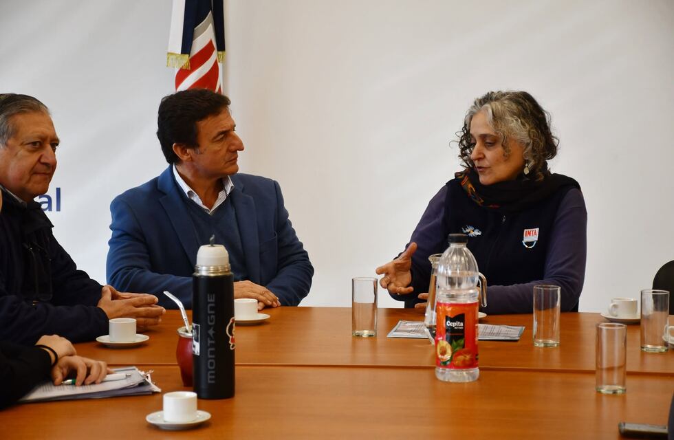 Roberto Sánchez dará detalle de su candidatura por la UCR