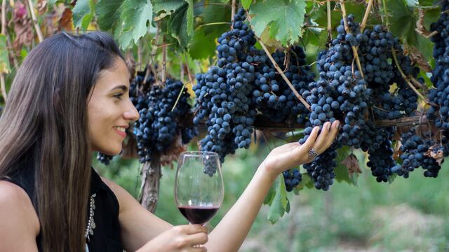 Ruta dFinca Chico Zossi. Ruta del Vino de Tucumán. el Vino de Tucumán.