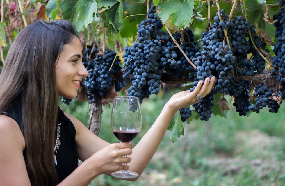 Festejos, música y degustaciones: la vendimia tucumana invita a vivir una experiencia sensorial en los Valles Calchaquíes