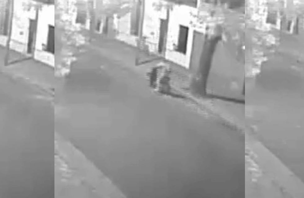 Difunden video del crimen de Damián Lucero, el verdulero apuñalado en Rosario