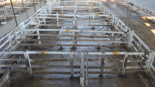 Analizan la fecha para un nuevo paro agropecuario, por la prórroga de la suspensión de exportaciones de carne.