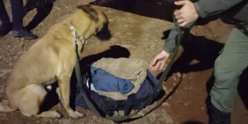 Gendarmería Nacional secuestró marihuana en un ómnibus.