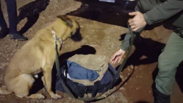 Gendarmería Nacional secuestró marihuana en un ómnibus.