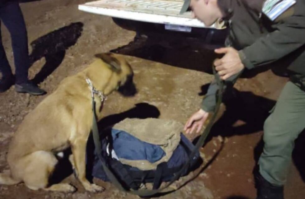 Gendarmería Nacional secuestró marihuana en un ómnibus