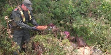 Encontraron más de una tonelada de marihuana en Misiones\u002E (Foto: Gendarmería)
