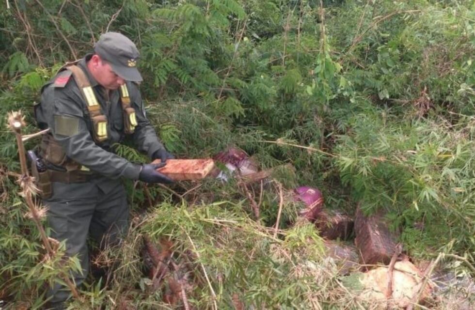 Incautaron más de una tonelada de marihuana prensada en Misiones