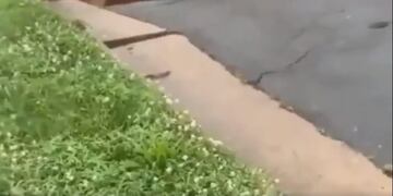 Un bache gigante se \