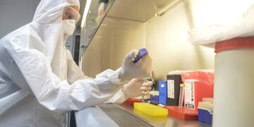 Detección de coronavirus en Mendoza\u002E Foto: Gobierno de Mendoza\u002E