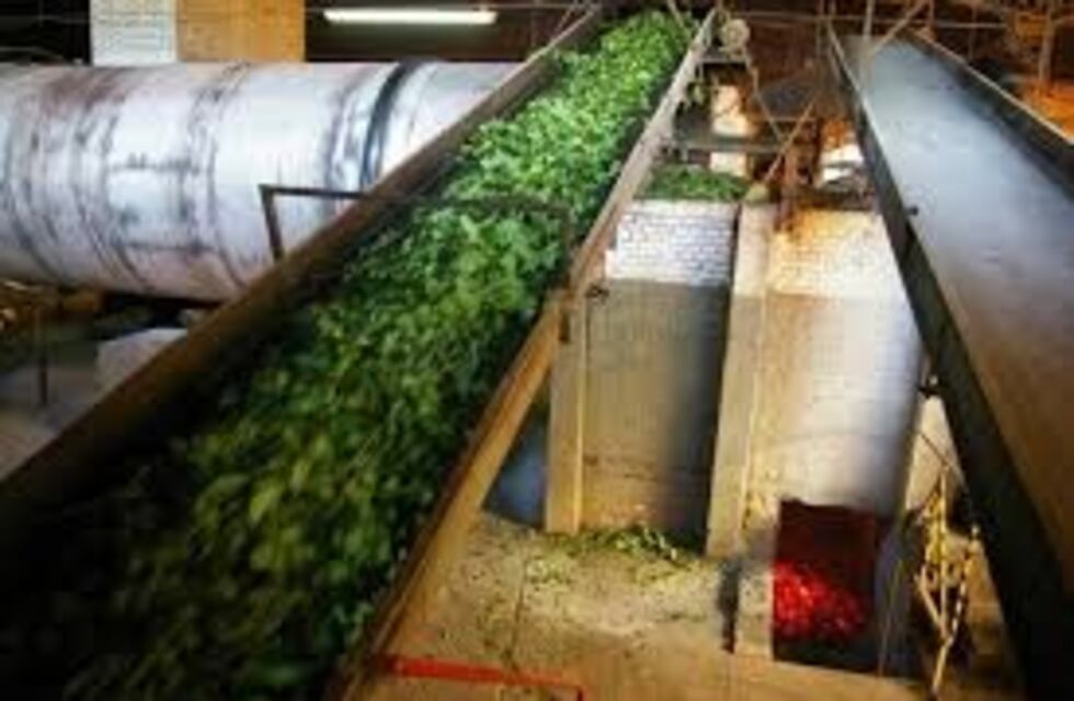 Enseñan cómo ahorrar energía en secaderos y molinos de yerba mate