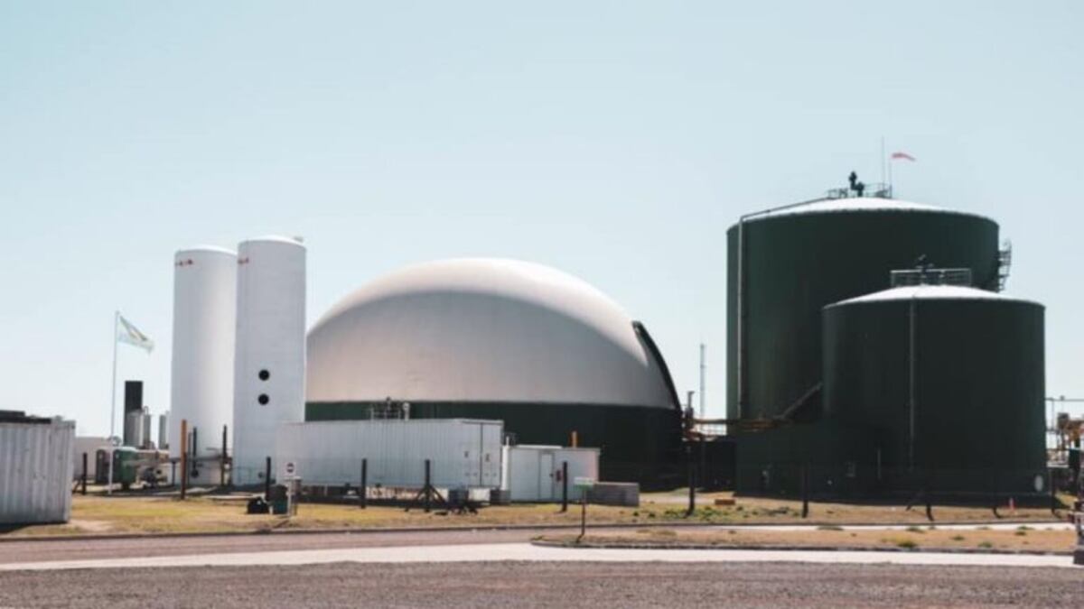 La planta de bioetanol Bio 4 para su producción y suspende al personal\u002E