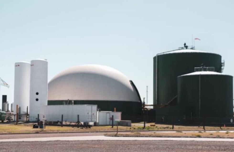 Bio 4 para la producción y suspende personal