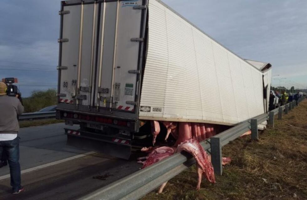 Llevaba cerdos, se le desfondó el camión y vecinos aprovecharon para saquearlo