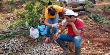 Vacunación contra la fiebre amarilla en Posadas\u002E