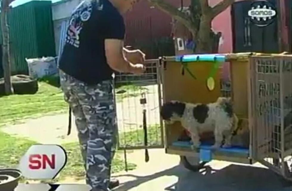 "S.O.S Firulais" Ambulancia Canina, una solidaria acción gualeya