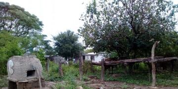 Cuatreros aprovechan la cuarentena para robar ganado\u002E (Fiscales Penales)