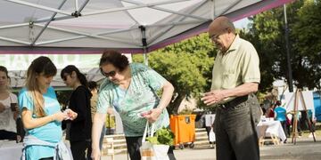 Programa Canjeamos Naturaleza llega a la plaza Montenegro\u002E