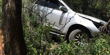 Camioneta atrapada entre árboles