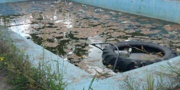 Denuncian que un pileta con agua podrida en Grand Bourg es un foco infeccioso de dengue