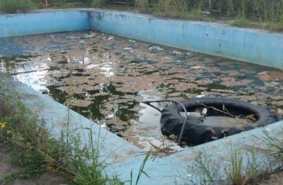 Denuncian que un pileta con agua podrida en Grand Bourg es un foco infeccioso de dengue
