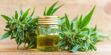 Venderán aceite de cannabis en farmacias