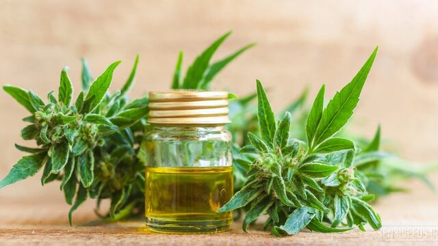 Aceite de cannabis.