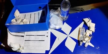 Un ladrón quiso llevarse insumos médicos de un Centro Covid de Mar del Plata (Foto: 0223)