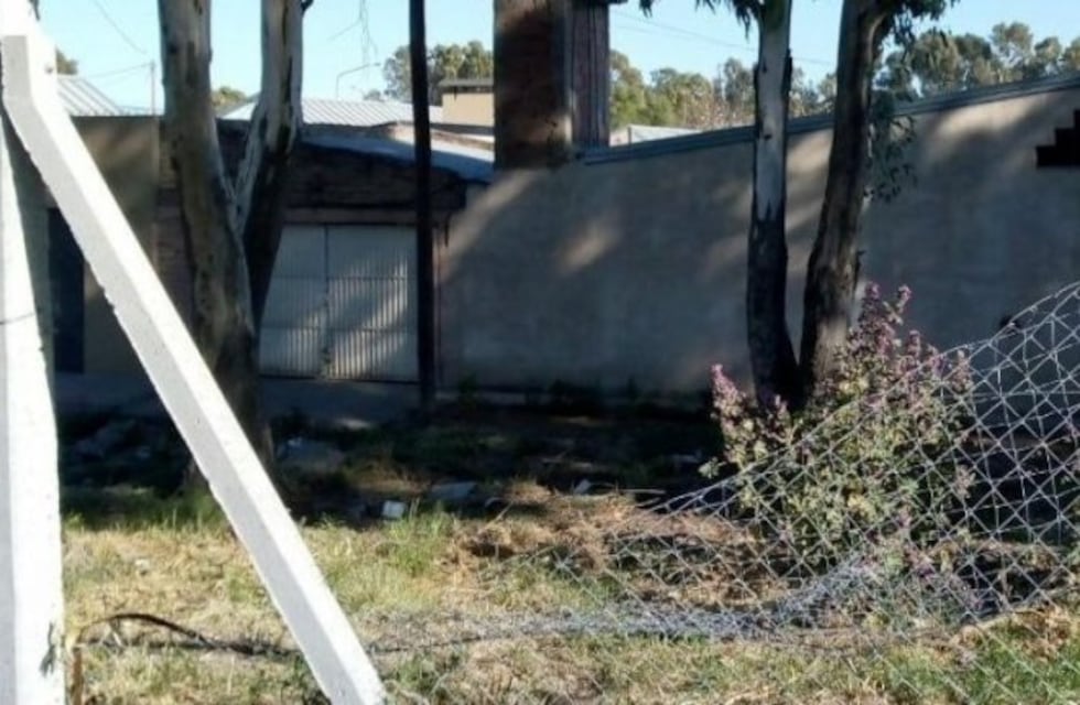 Realizaron destrozos en el invernadero del barrio Lavalle en Viedma