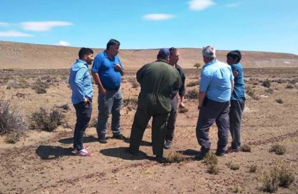 Cushamen: Organismos provinciales refuerzan el control de la tucura