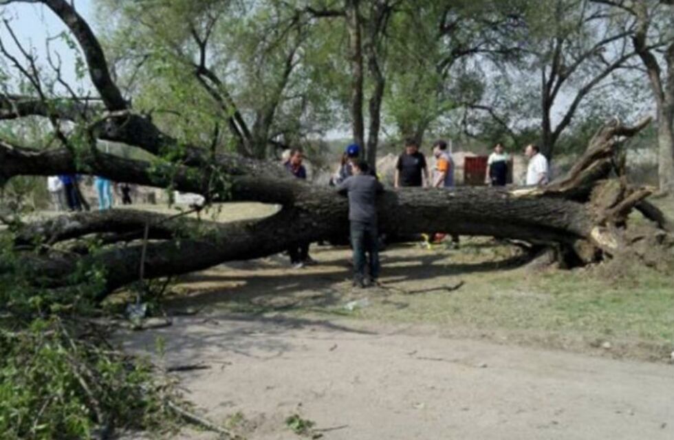 Fiesta del Estudiante: trasladaron a una herida en Jesús María al Hospital de Urgencias