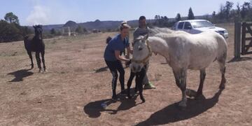 Ayuda de productores