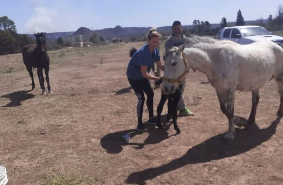 Fueron asistidos por la Rural de Pocho los productores afectados al incendio