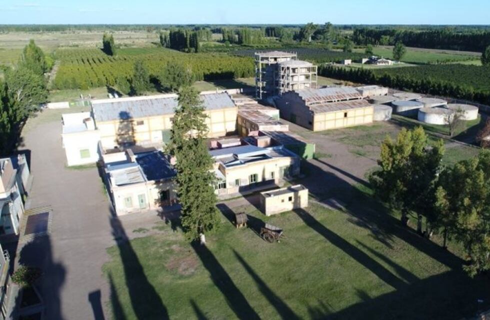 Alvear y San Rafael entre los mejores del turismo del vino en Mendoza
