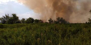 Rosario vuelve a la Justicia por los incendios en las islas