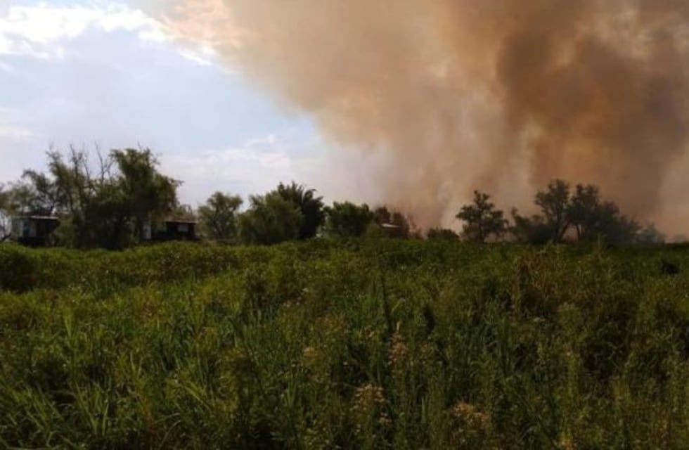 Quemas en las islas: el municipio vuelve a la Justicia y la UNR hará un estudio con drones