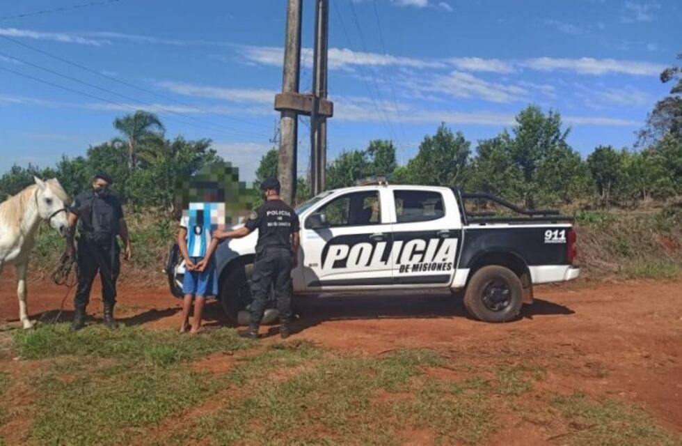 La policía recuperó un caballo robado y detuvo a un menor de 16 años
