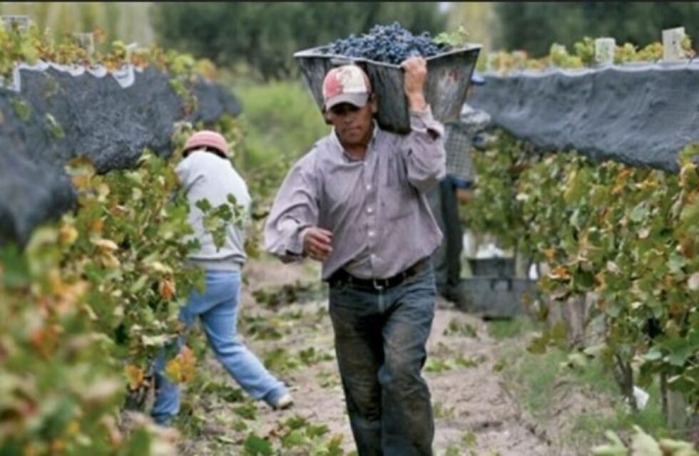 Los trabajadores de viña podrán jubilarse a los 57 años