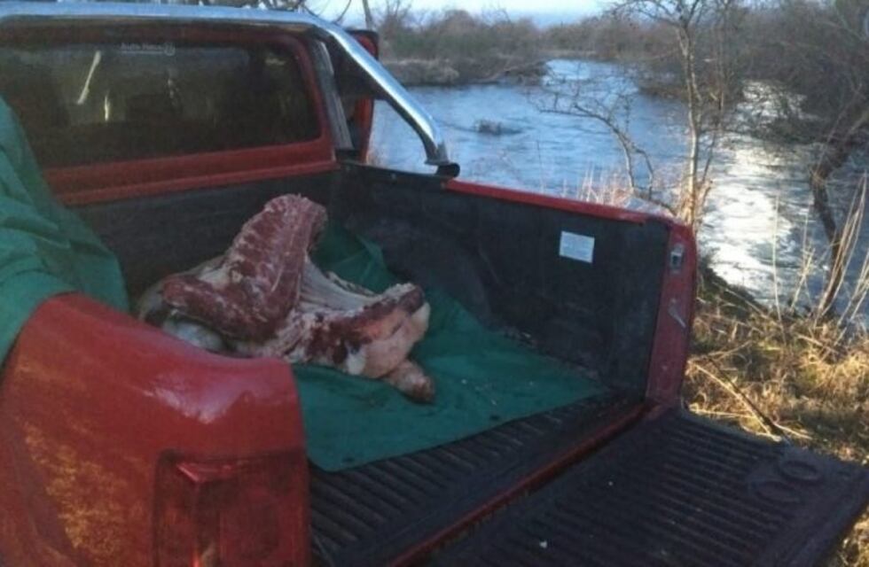 Robaron un toro de 400 kilos y lo faenaron, pero se les "aguó el asado"