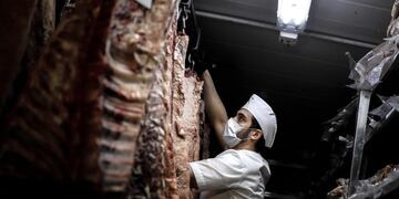 EFE/Juan Ignacio Roncoroni